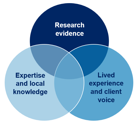research evidence is best evaluated using which type of process